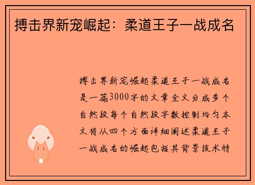 搏击界新宠崛起：柔道王子一战成名