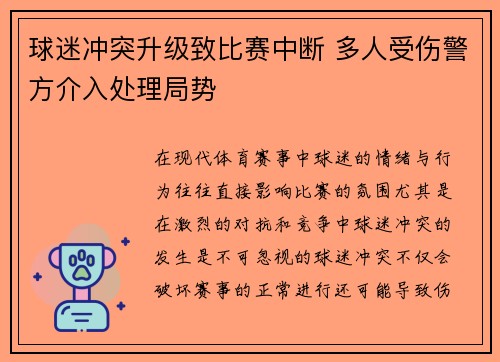 球迷冲突升级致比赛中断 多人受伤警方介入处理局势