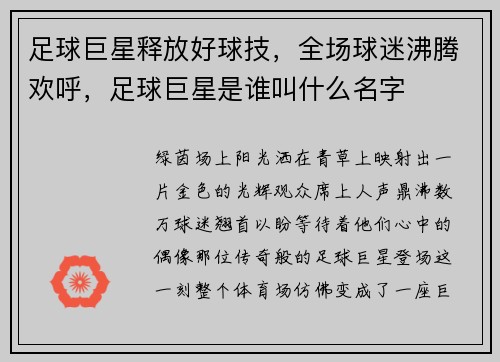 足球巨星释放好球技，全场球迷沸腾欢呼，足球巨星是谁叫什么名字